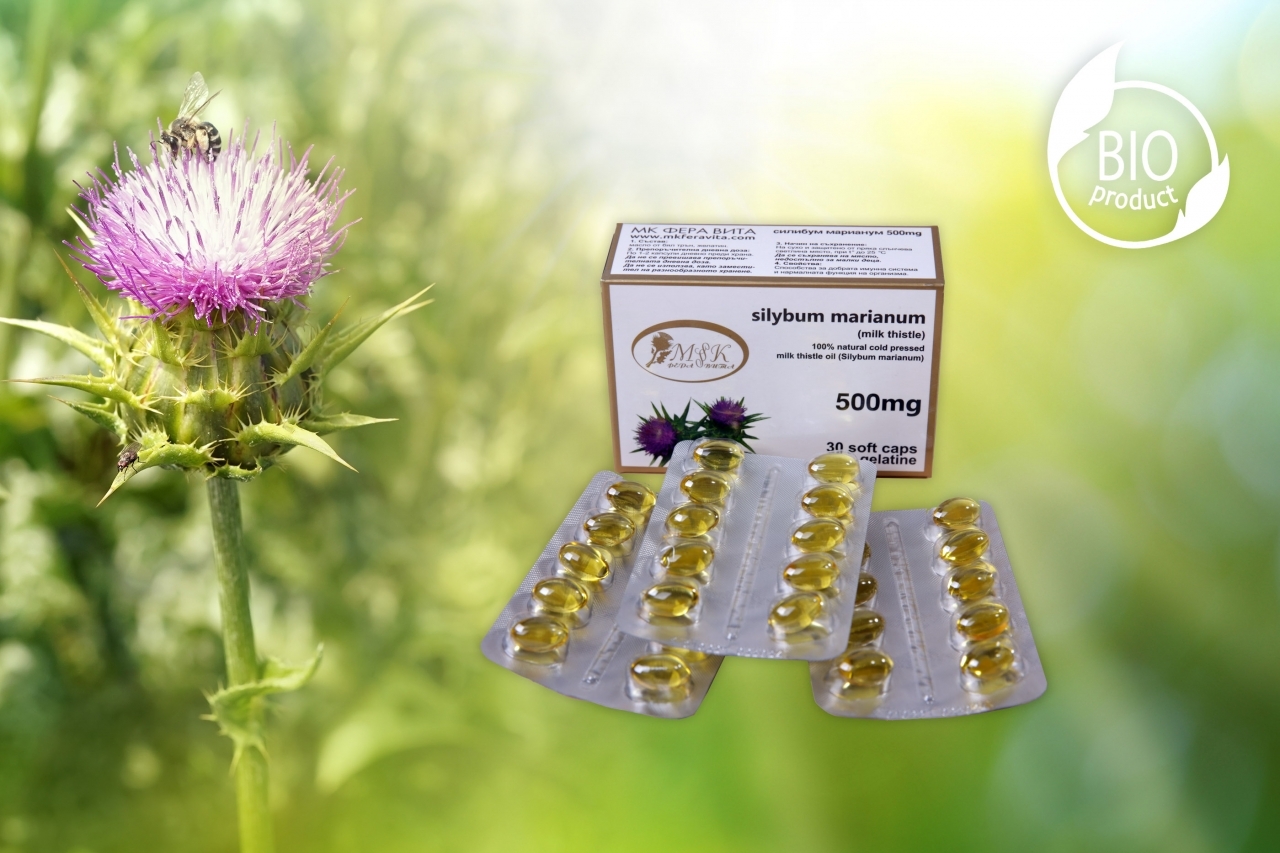 Capsule de armurariu 500mg
